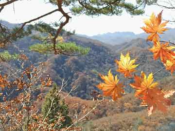 多地将小型运动场纳入移风易俗与文明实践阵地